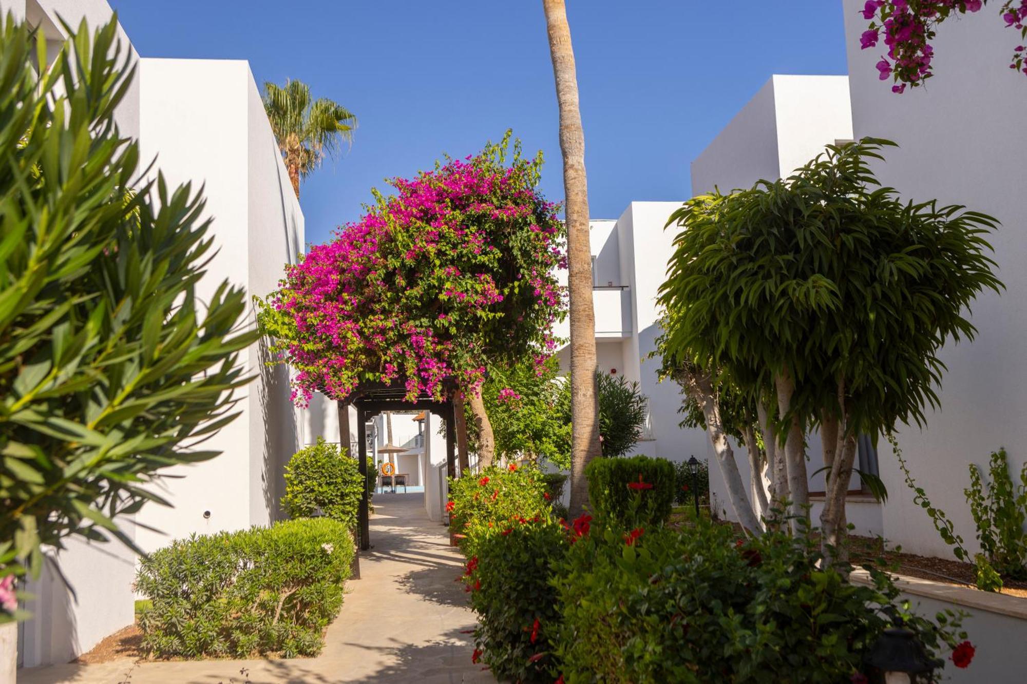 Kapetanios Aqua Resort Coral Bay Luaran gambar